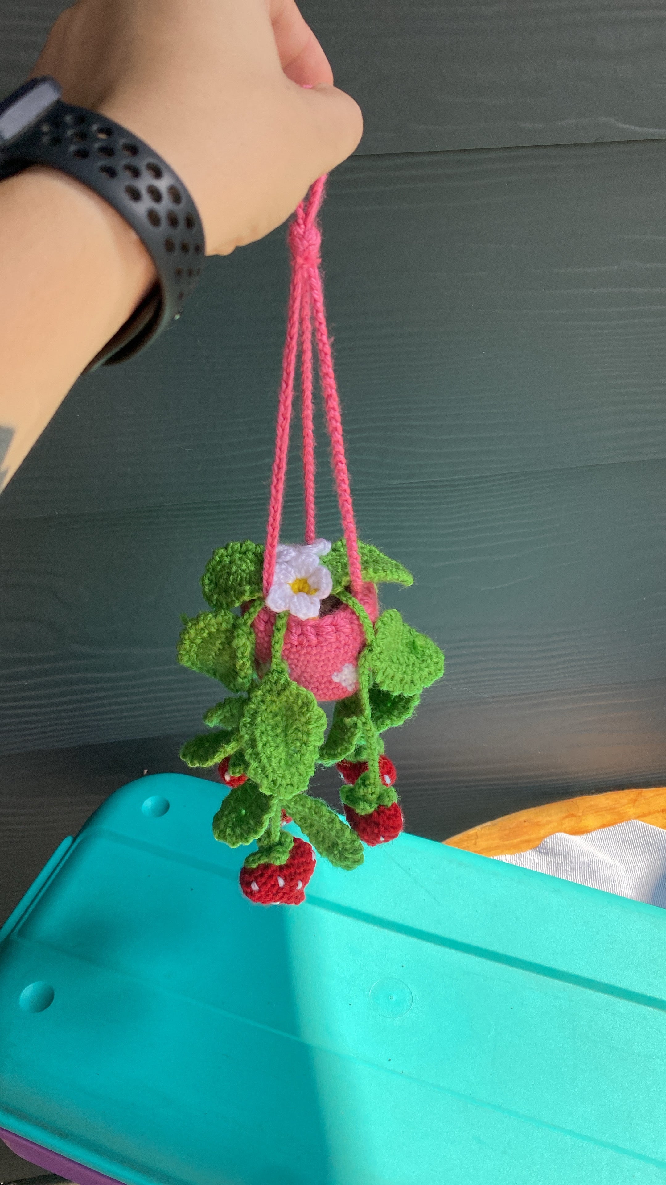 Strawberry plant
