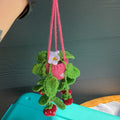 Strawberry plant